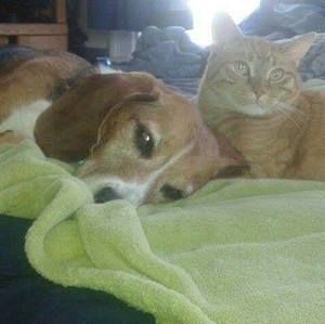 Meet your Posher, Jess